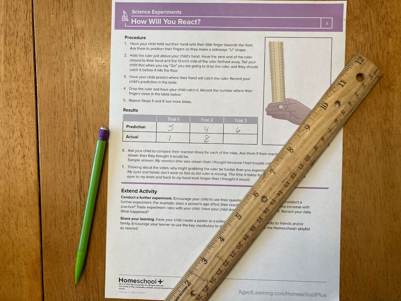 science experiment lesson plan from Homeschool+ Online Learning Program