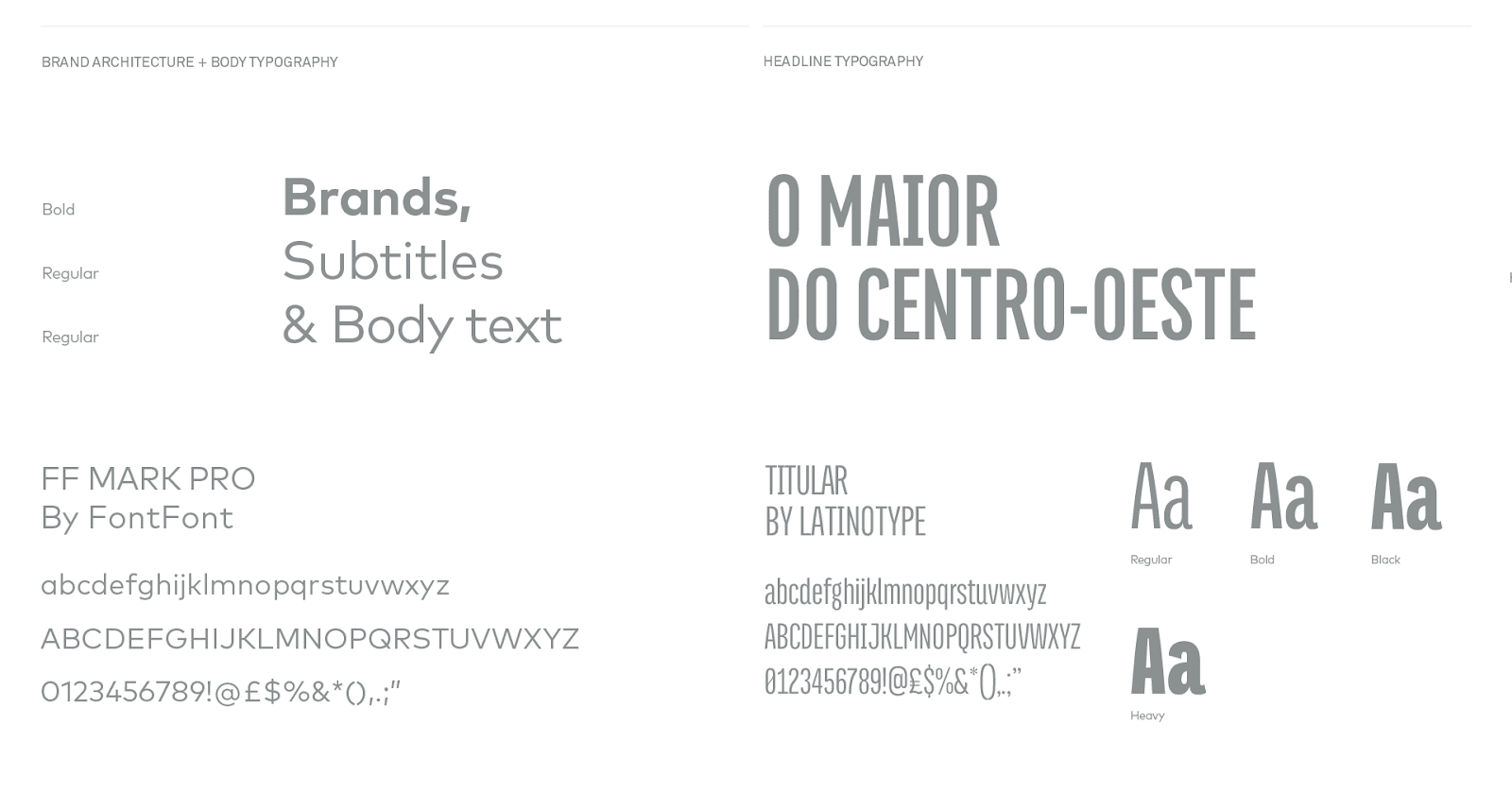 Page from the Brand Identity Manual for the Goias Soccer Team