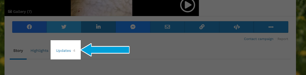 Screenshot of a campaign showing the three Story tabs available under the share bar. The third tab from the left is highlighted, reading 'Updates', and a blue arrow points to it. This shows where a user can go to read a campaign's updates. 