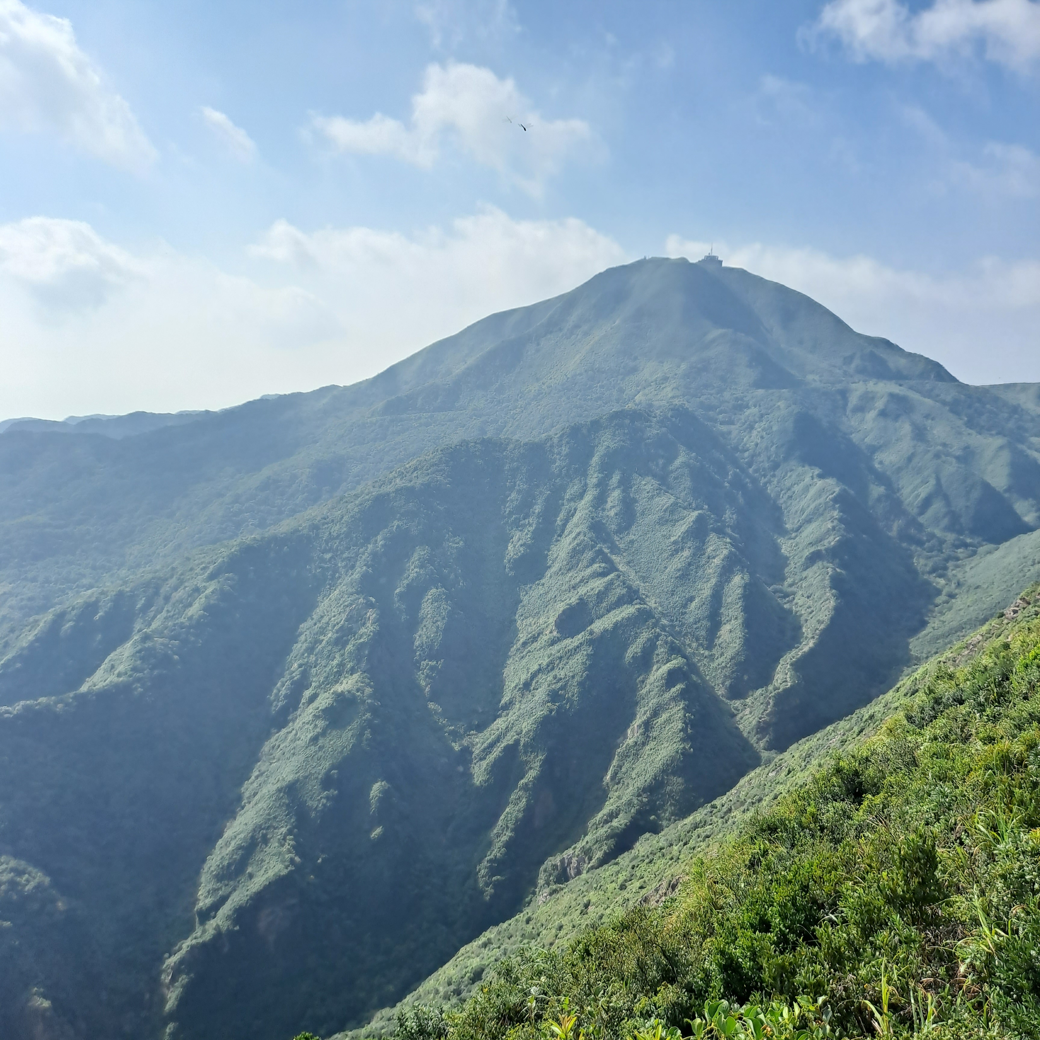 ▲鋸齒稜風景▲