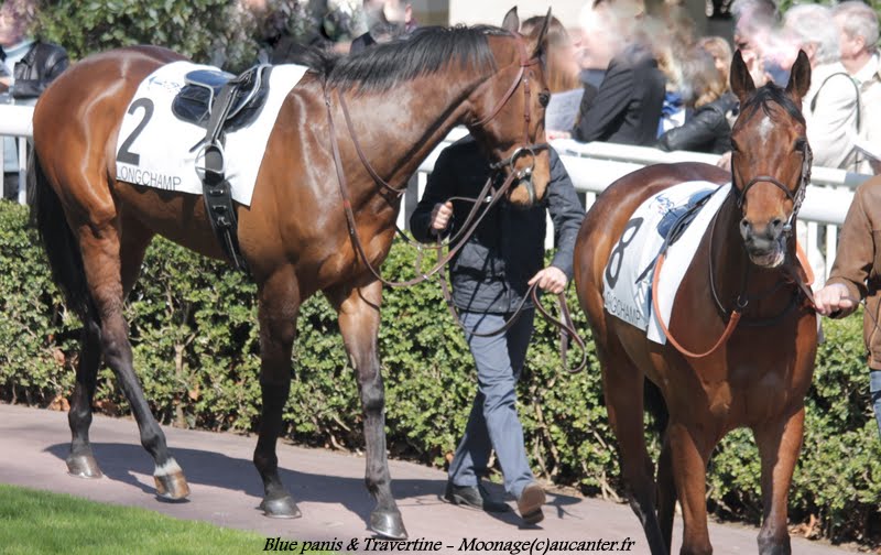 Photos Longchamp 6-04-2015 KIBSqm5O5xbadr5eXhm-xgibBS3AdbXLqLdjgJmI1CxJ=w800-h504-no
