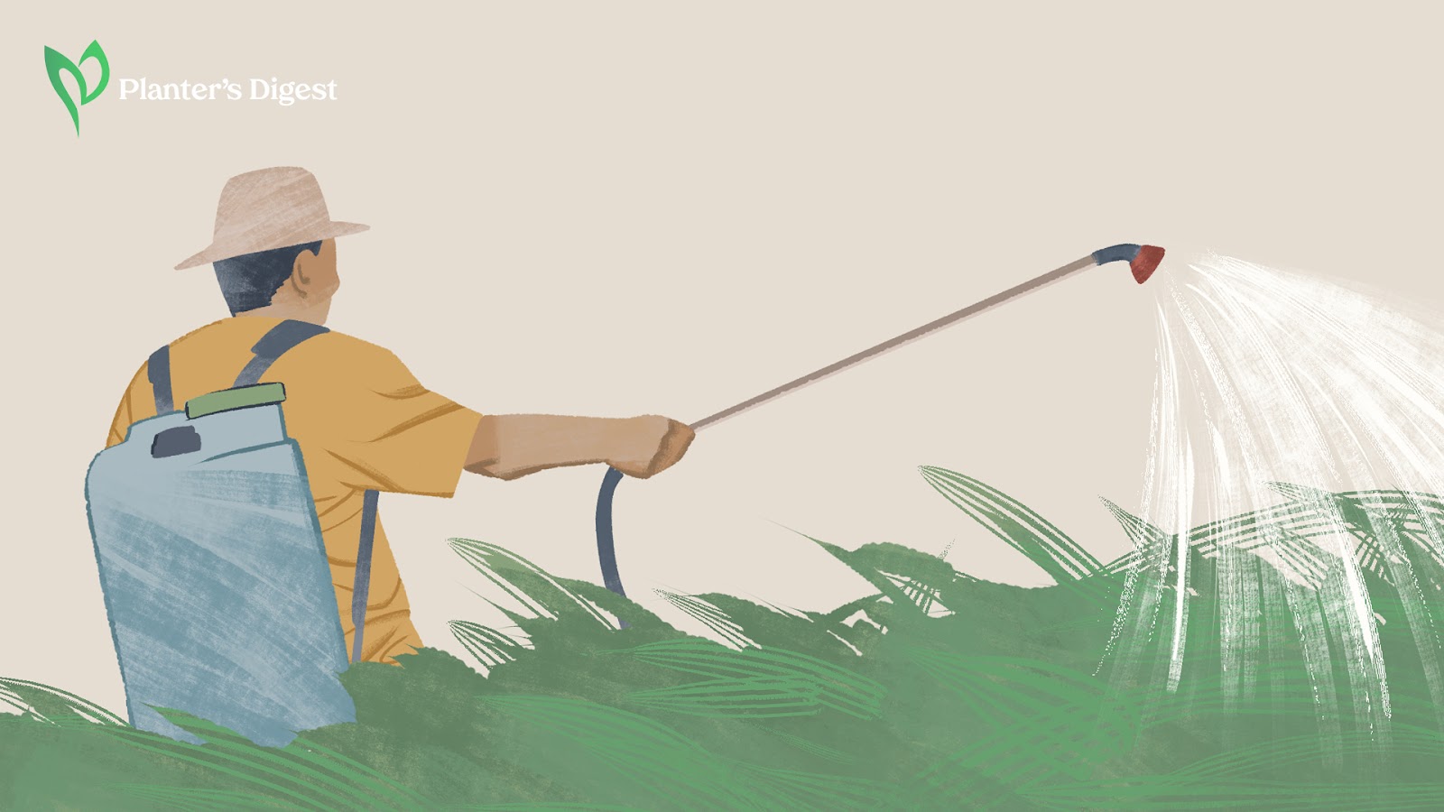 Foliar Spraying