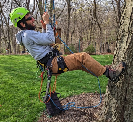 Gabe Waterhouse in full gear beinning his ascent of the tree to begin trimming out the deadwood