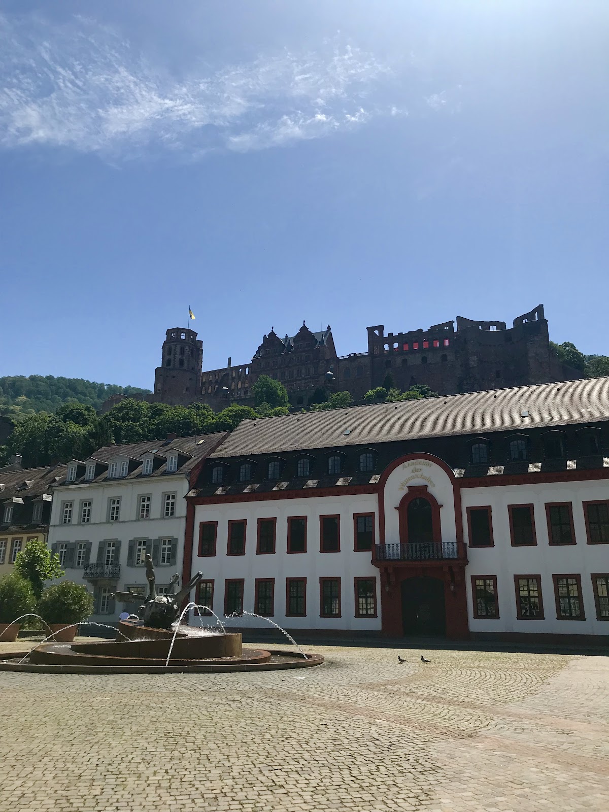 heidelberg palace