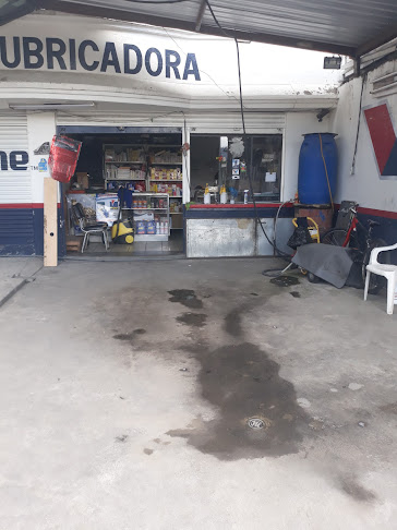 Mimando tu Auto