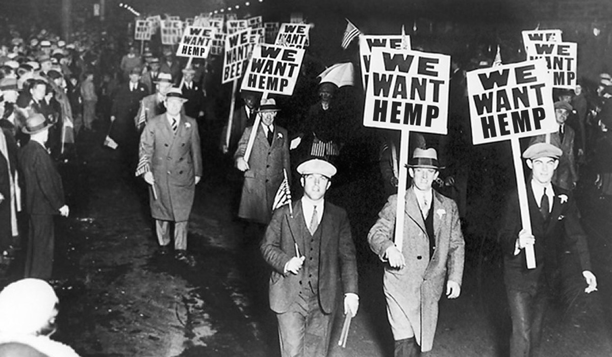 men holding we want hemp signs an update to hemp prohibition laws