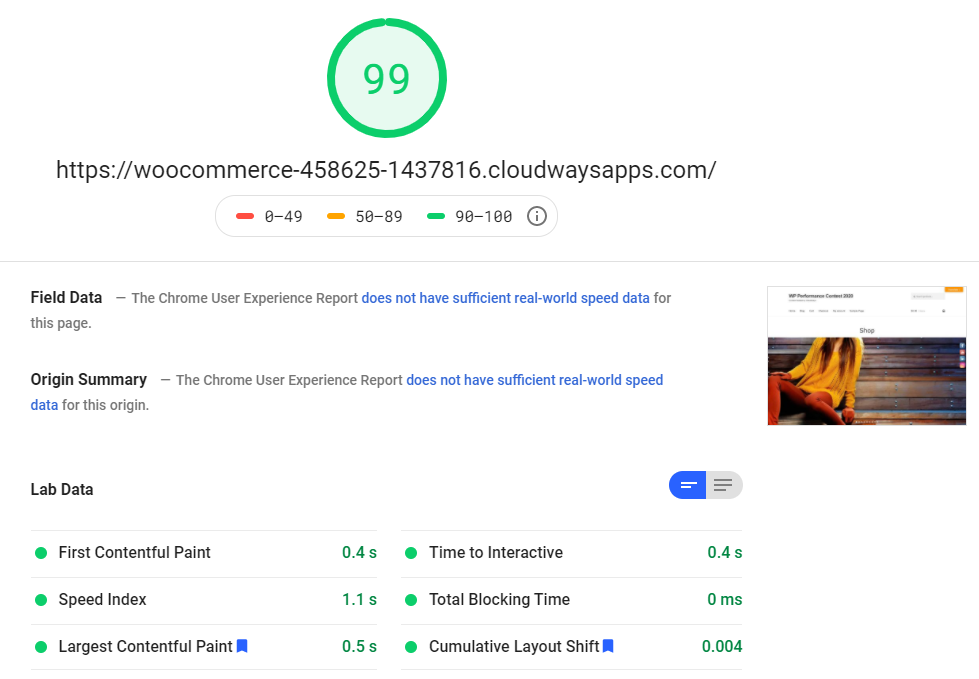 PageSpeed Insights score