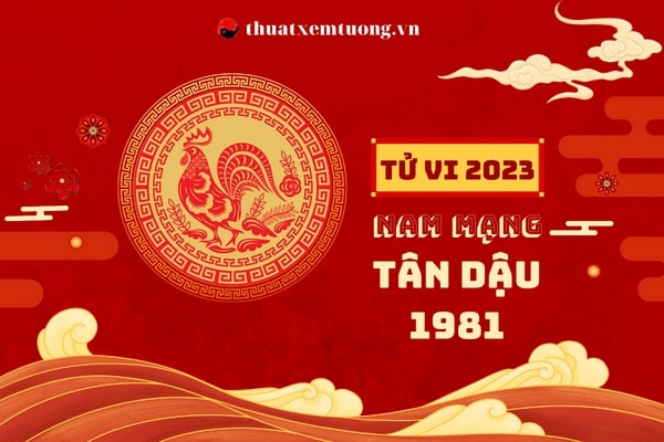 tu-vi-tuoi-tan-dau-nam-2023-nam-mang-1981