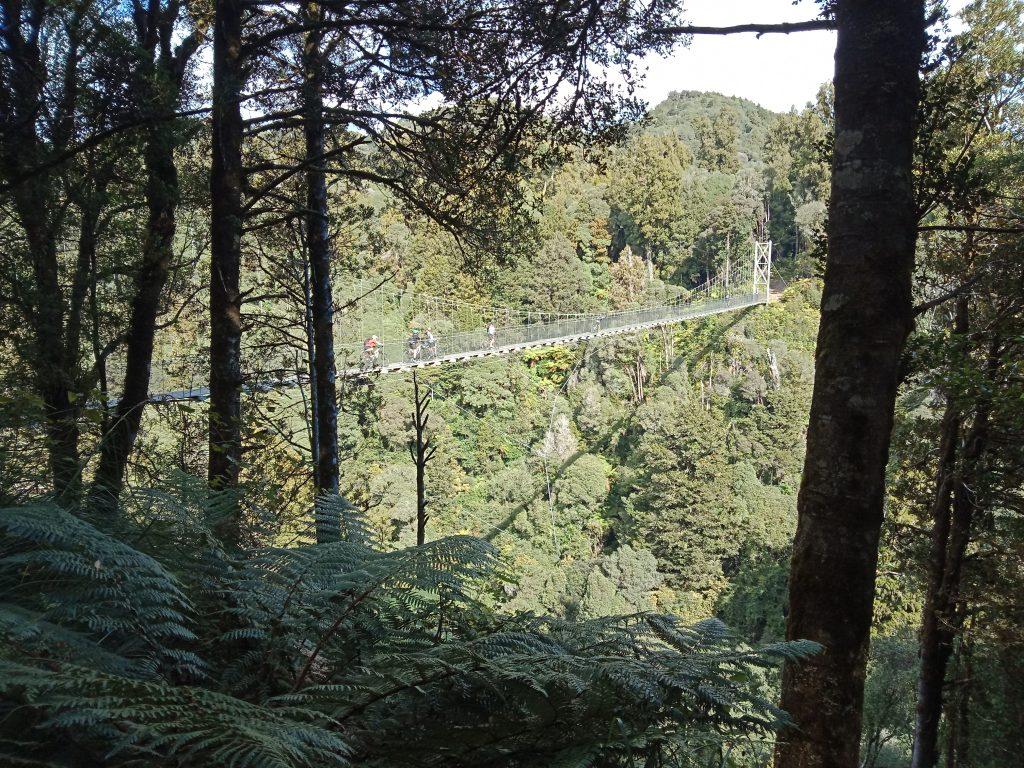 This image has an empty alt attribute; its file name is Timber-Trail-distant-view-of-first-swing-bridge-1024x768.jpg