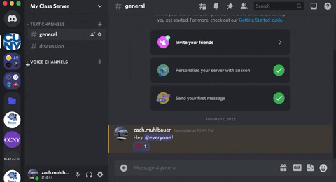 vc channels on meowbahh's discord server 