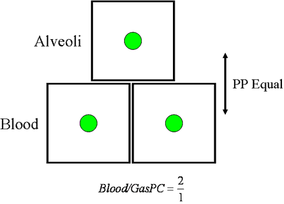 Partial pressure of gas in the alveoli in equilibrium with the partial pressure of the gas in blood