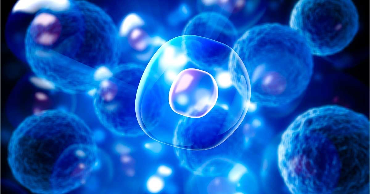 Bước tiến vượt trội của thế kỷ 21: Ứng dụng của công nghệ tế bào gốc