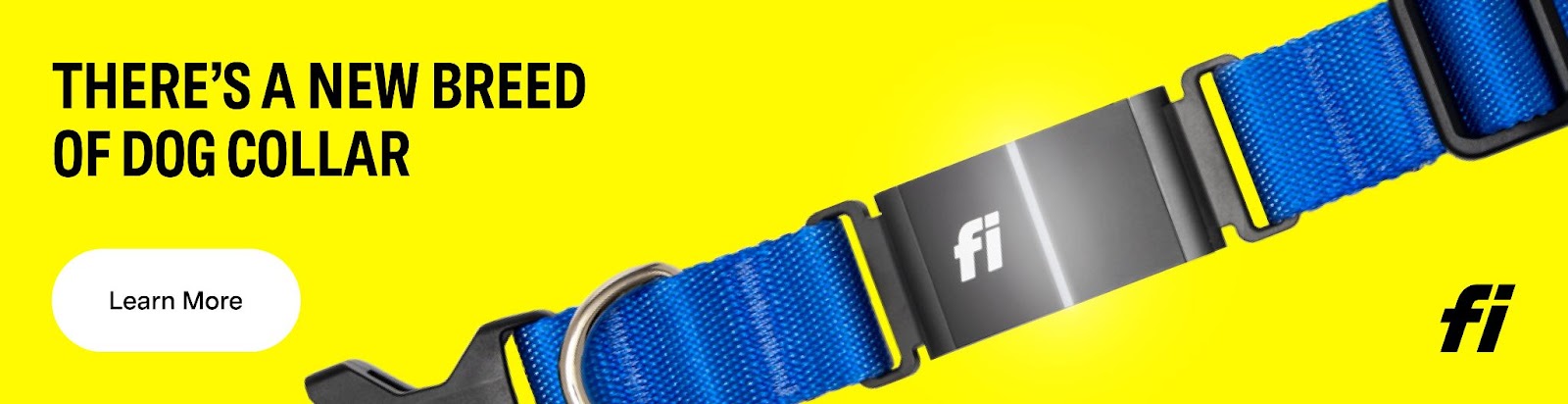 Fi Dog collars