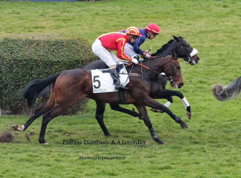 Photos Auteuil 14-03-2015 KRcxba-IXicSEgMXK0SZ2HW7qc1Xre3-8F3EMOkzZ3_C=w800-h591-no