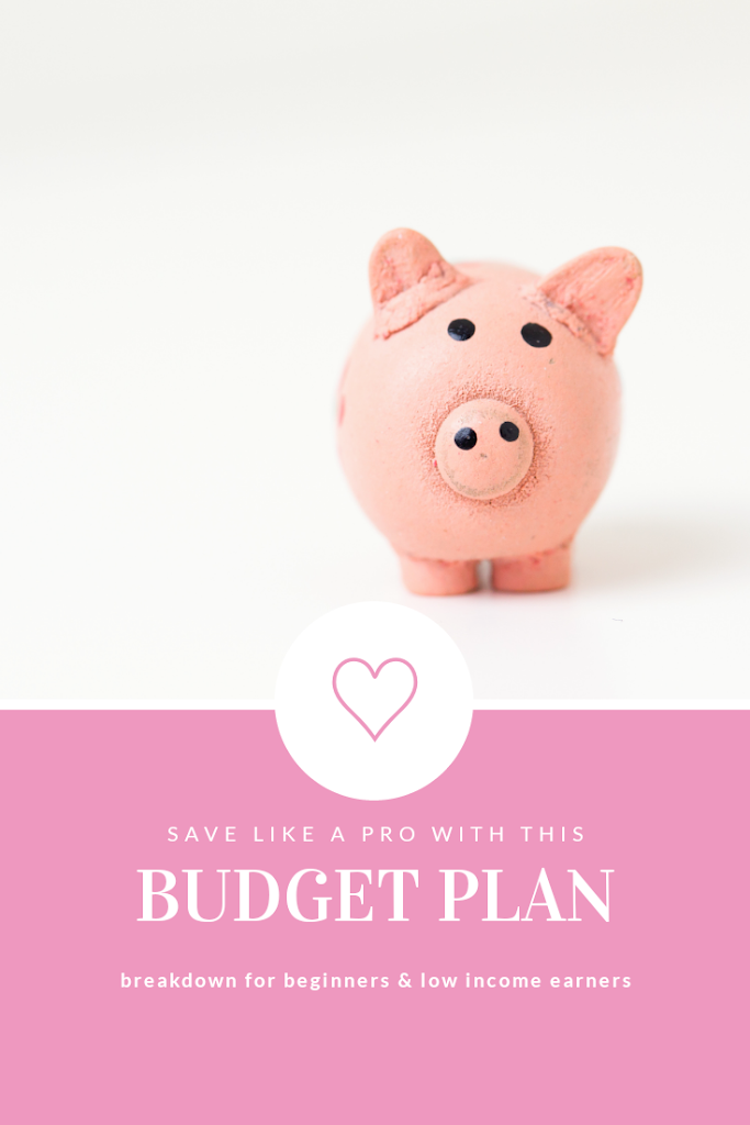 The best budget plan for beginners Pin It