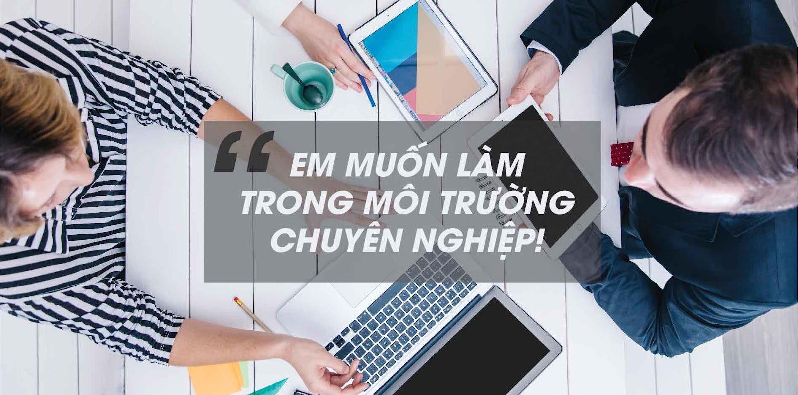 muốn làm việc trong môi trường chuyên nghiệp