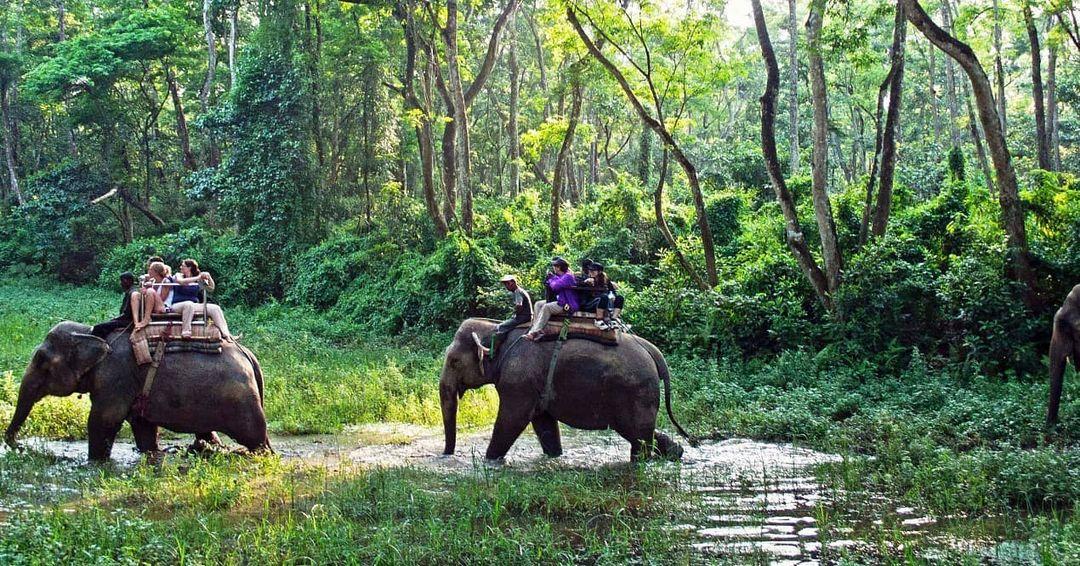 Chitwan Elephant Safari: Price, Time, Booking, Cost, Online 2021