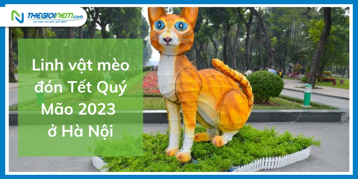 Linh vật mèo Tết Quý Mão 2023 ở các địa phương gây sốt cộng đồng