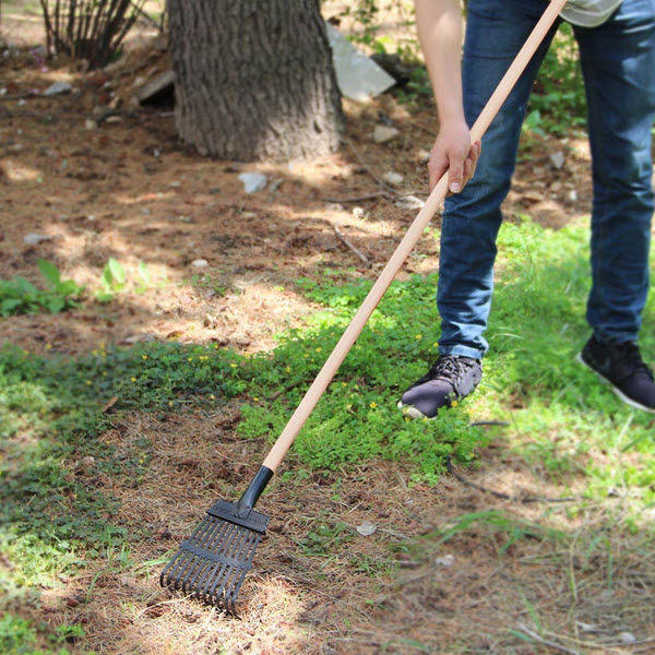 What is a Shrub Rake? [Comparison With Other Rakes]