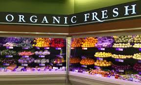 Organic food shop.jpg