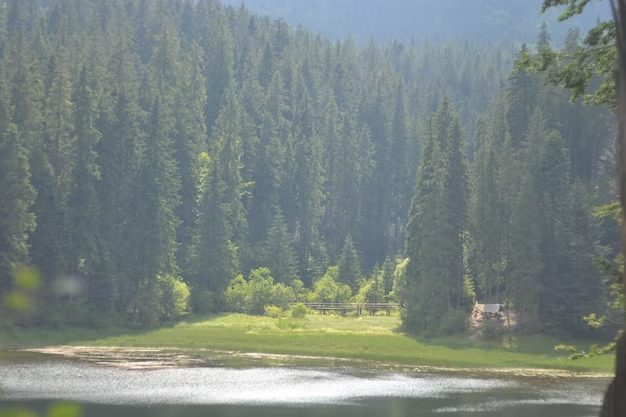 Lacul Scropoasa - caracteristici geografice