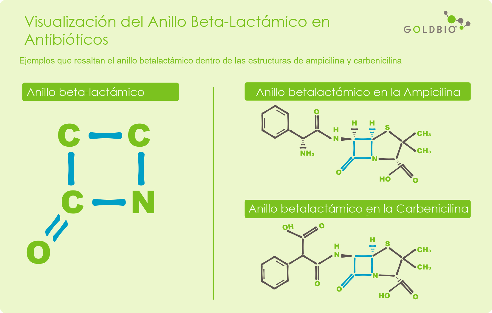 visualizacion del anilla beta-lactamico en antibioticos. 
