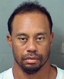Tiger Woods Photo by The Palm Beach County Sheriff's Office via Getty Images