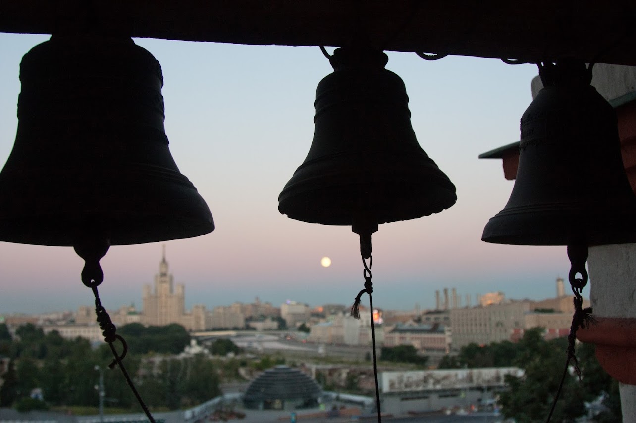 _MG_7919-2 _MG_7919-2