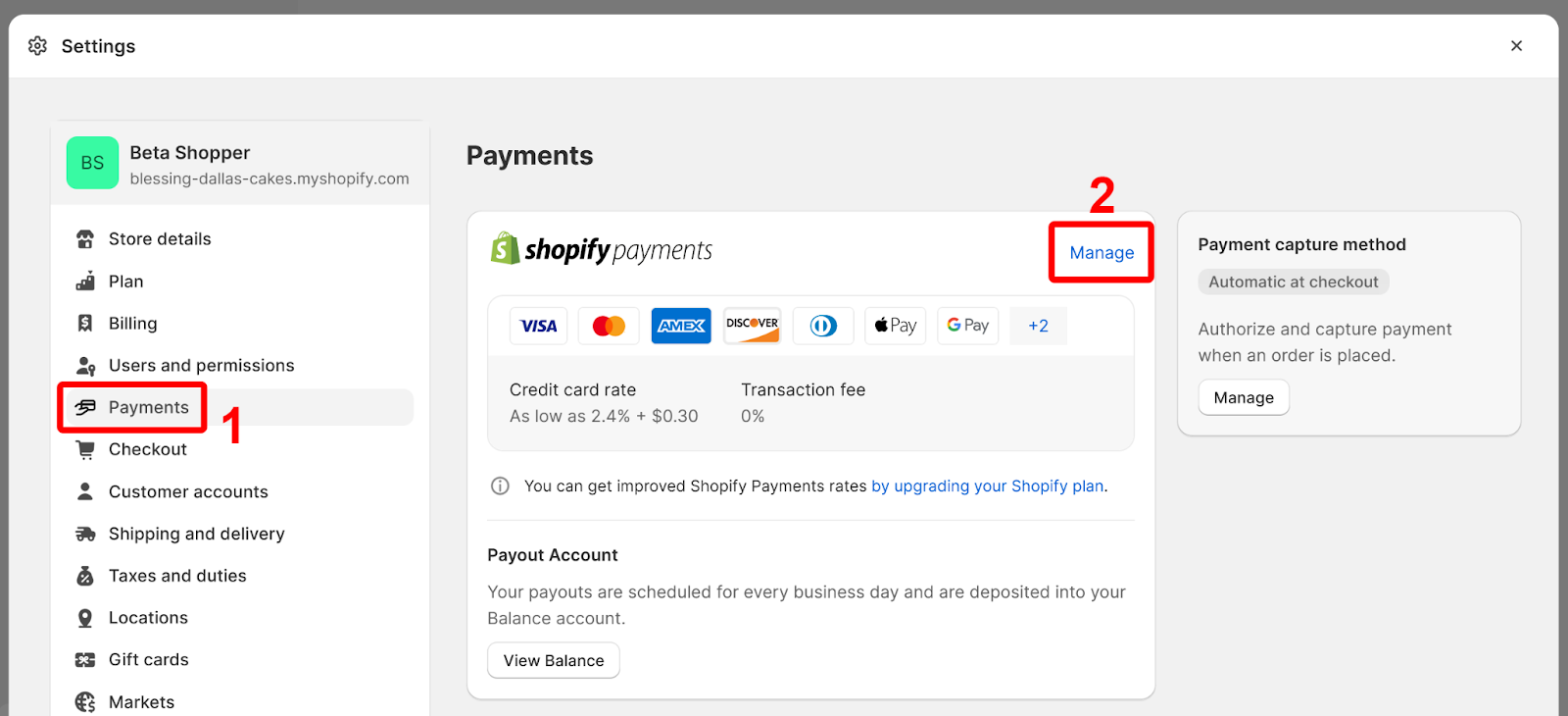 choose payments Shopify settings page