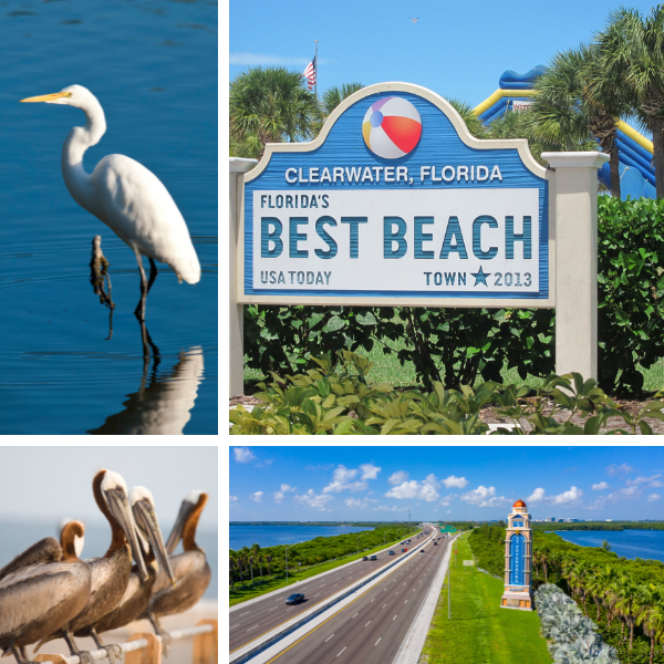 Clearwater Beach Top Rated in the US