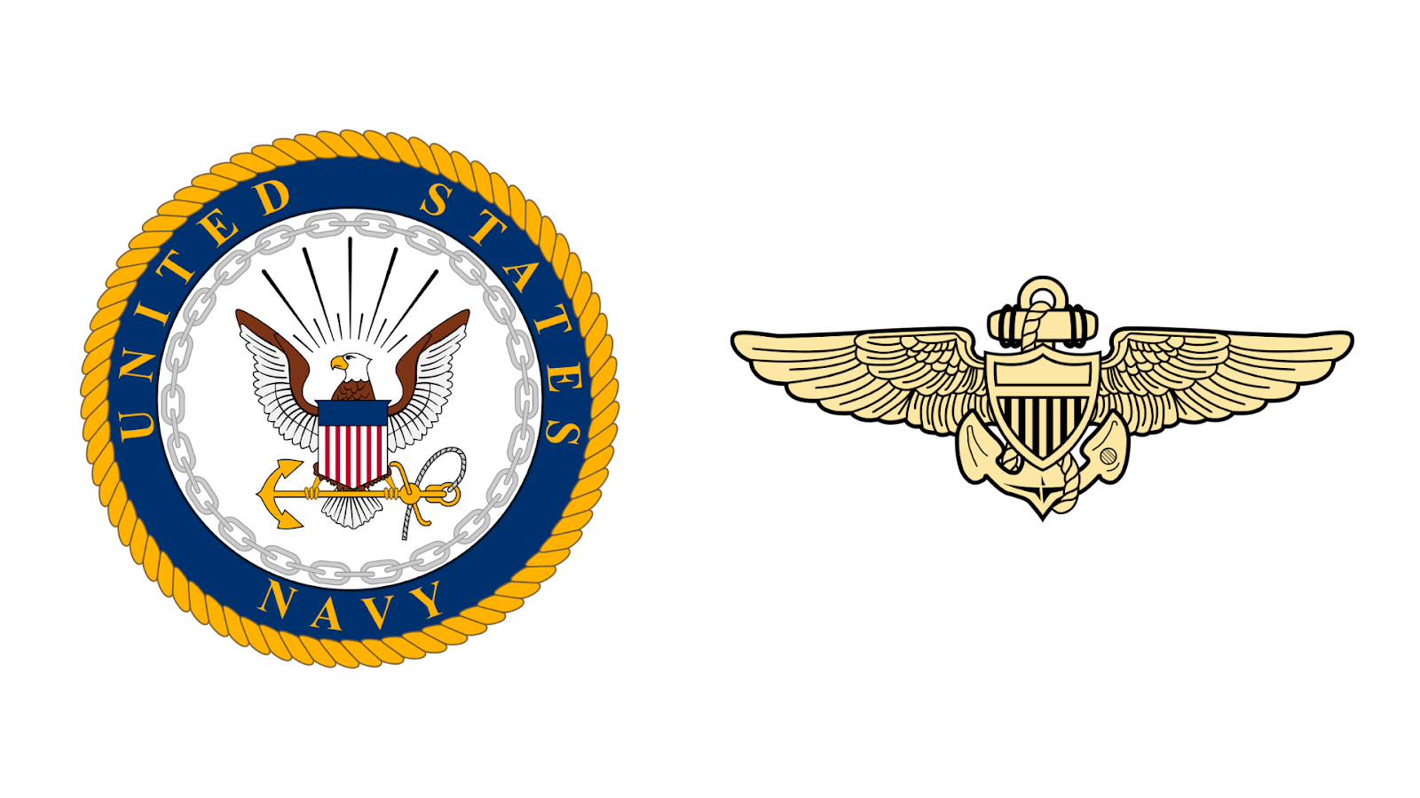 Navy aviation emblem and insignia. 