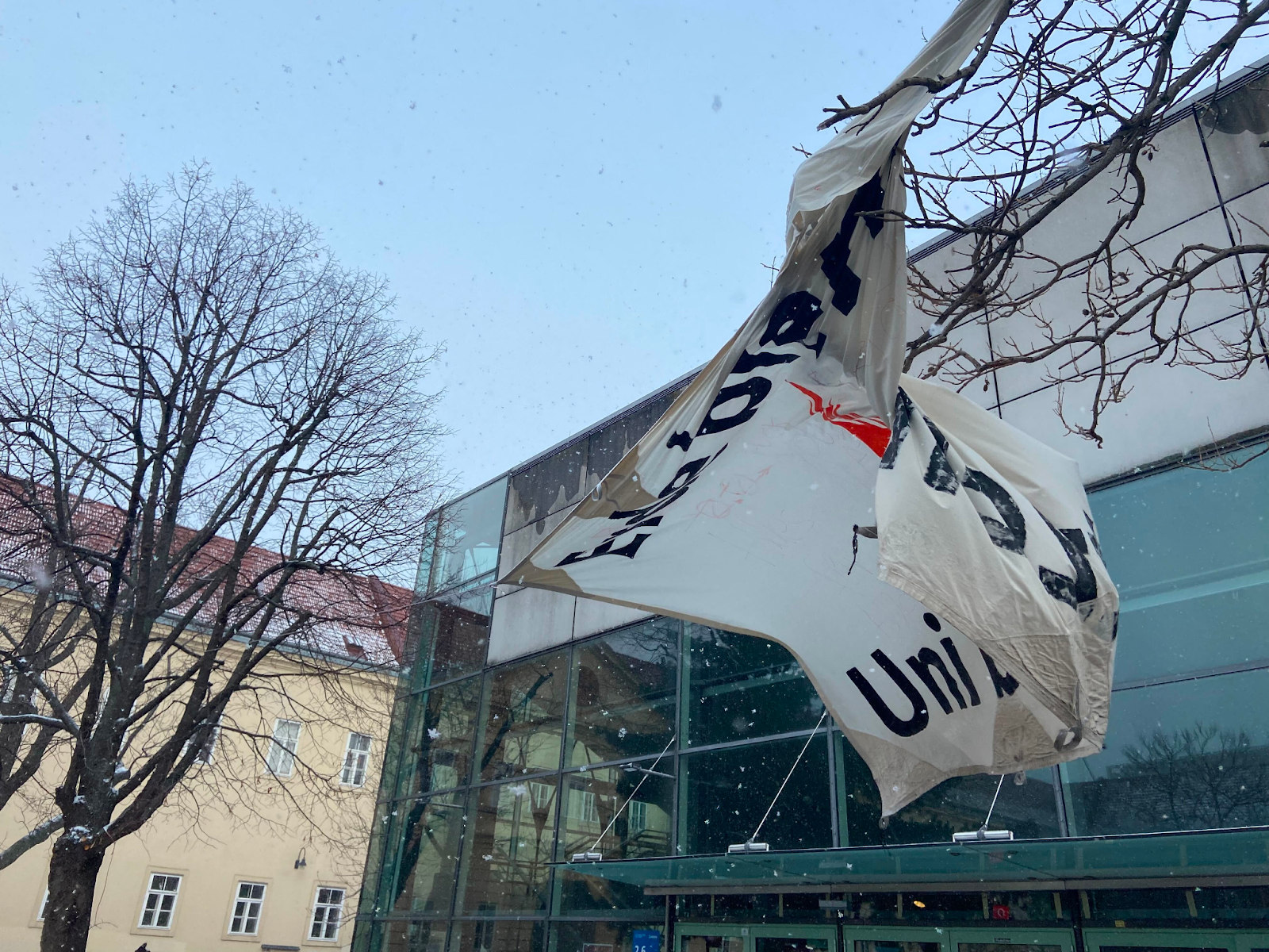Das Banner der Bewegung "Erde Brennt" wird abgenommen und hängt halb zwischen Bäumen und dem Uni-Gebäude. Es schneit leicht.
