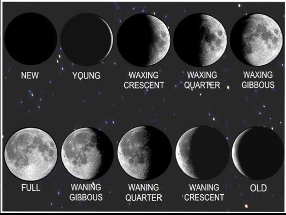 Image result for moon phases