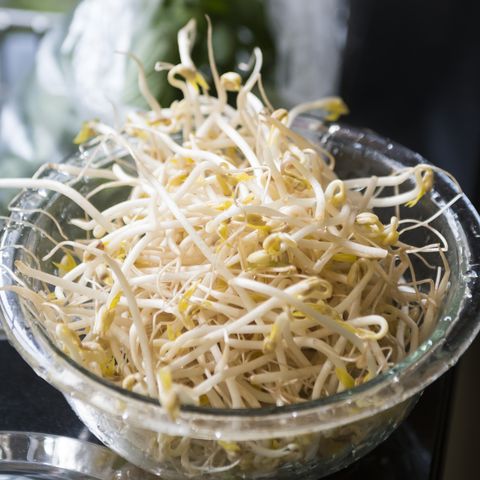 bean sprouts protein veggies
