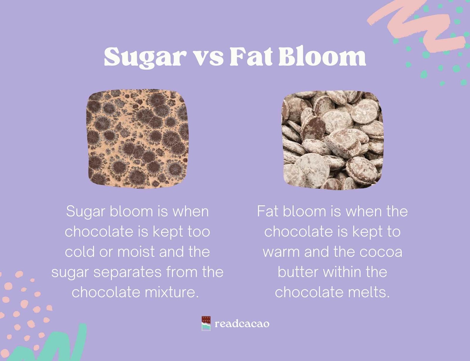sugar vs fat bloom