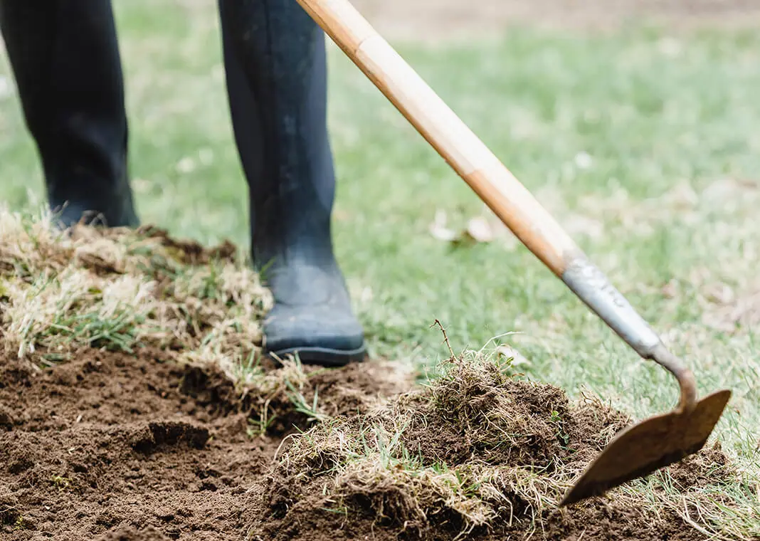 Till the soil.