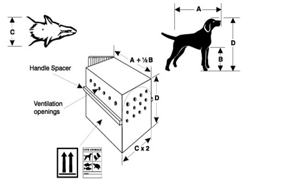 All Nippon Airways or ANA pet carrier requirements 