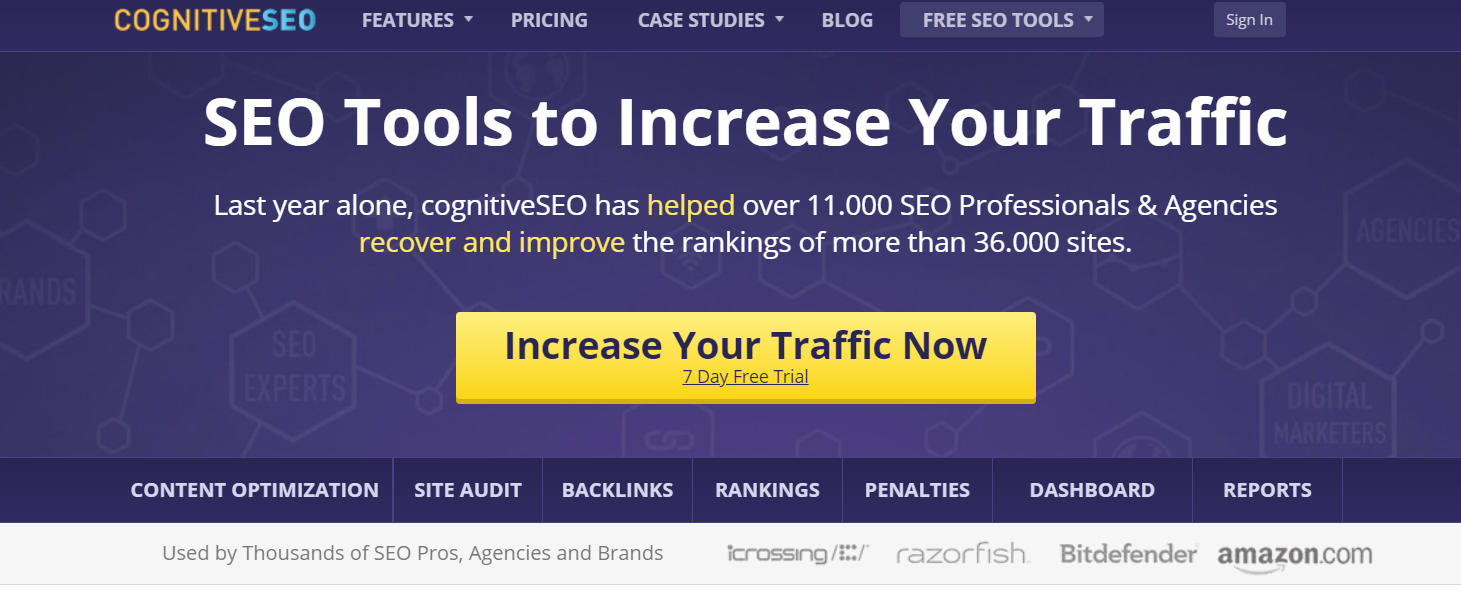 CognitiveSEO 