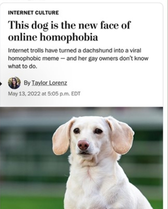 Did Taylor Lorenz write the article about homophobic dogs?