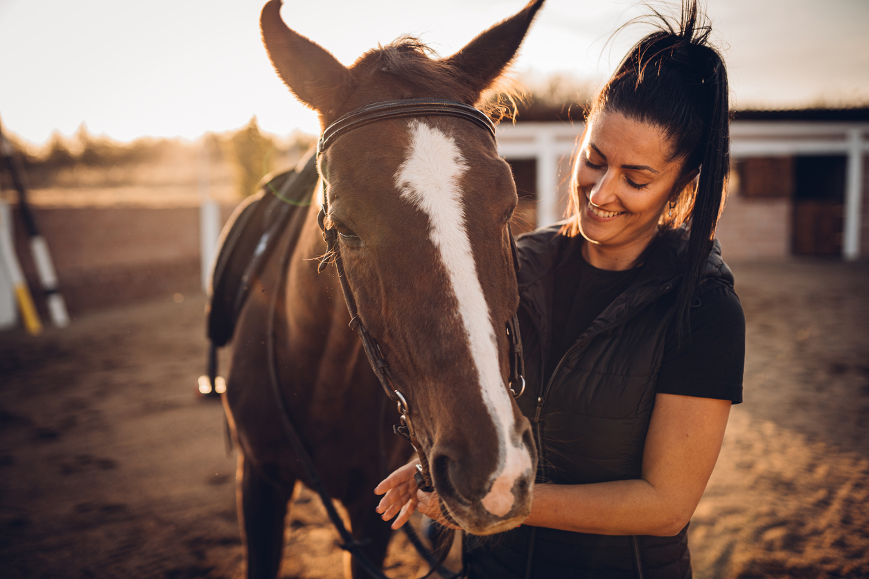 conclusion-horse-grooming