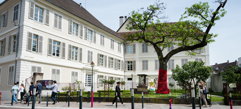  Le Musée des Beaux-Arts Mulhouse 