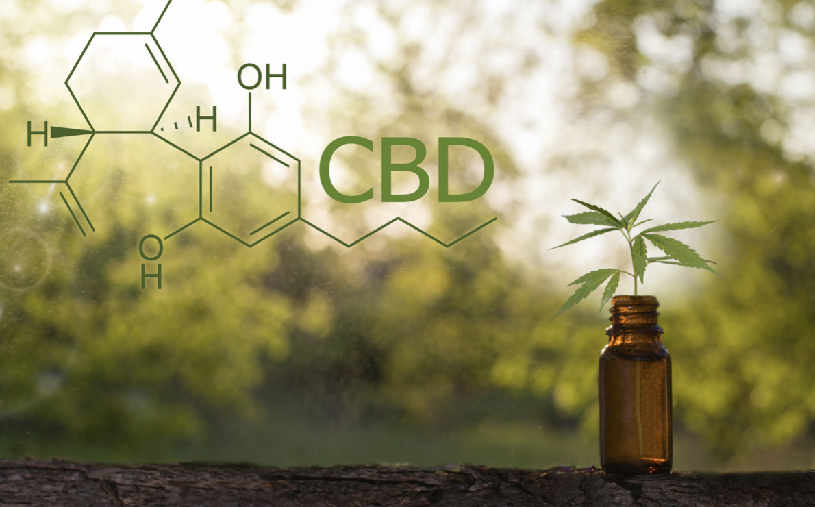 When Is the Best Time to Use CBD?