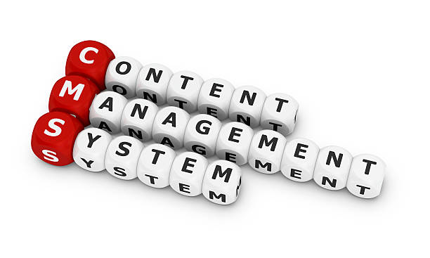 How Can I Use Content Creation Tools to Improve My Content Management System?