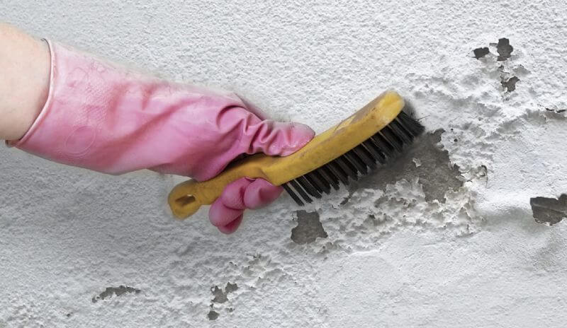 Cómo eliminar el salitre de las paredes para siempre - Maestros Albañiles TS