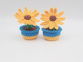 two sunflowers in small blue and yellow pots