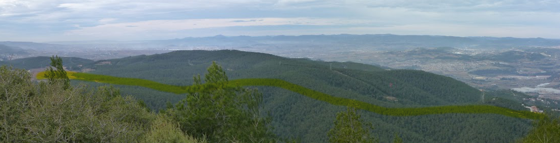 Traçat del camí que es vol pavimentar 2.png