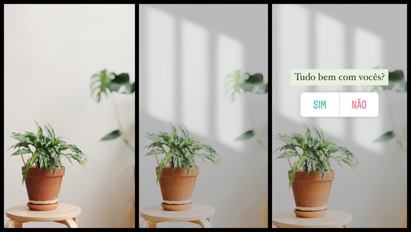 foto de vasos de plantas com os dizeres "Tudo bem com vocês?" e a enquete "Sim e não"