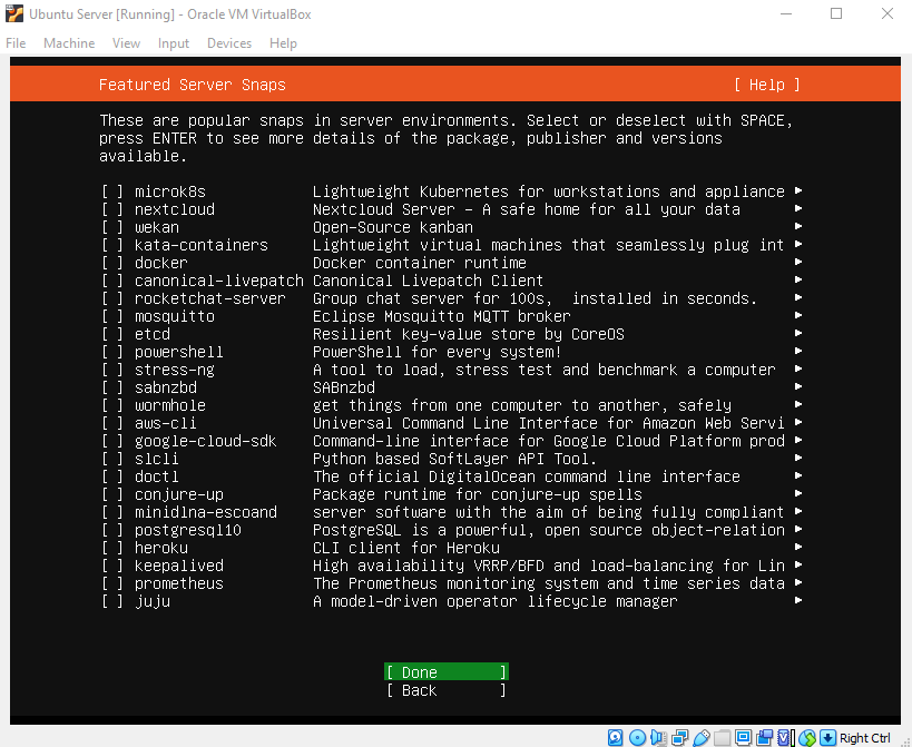 Virtual Hacking Lab - Ubuntu Server installation [Featured Server Snaps]. Source: nudesystems.com