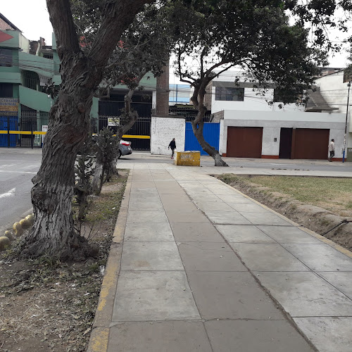 Comentarios y opiniones de Caporales Centralistas San Miguel Filial Lima