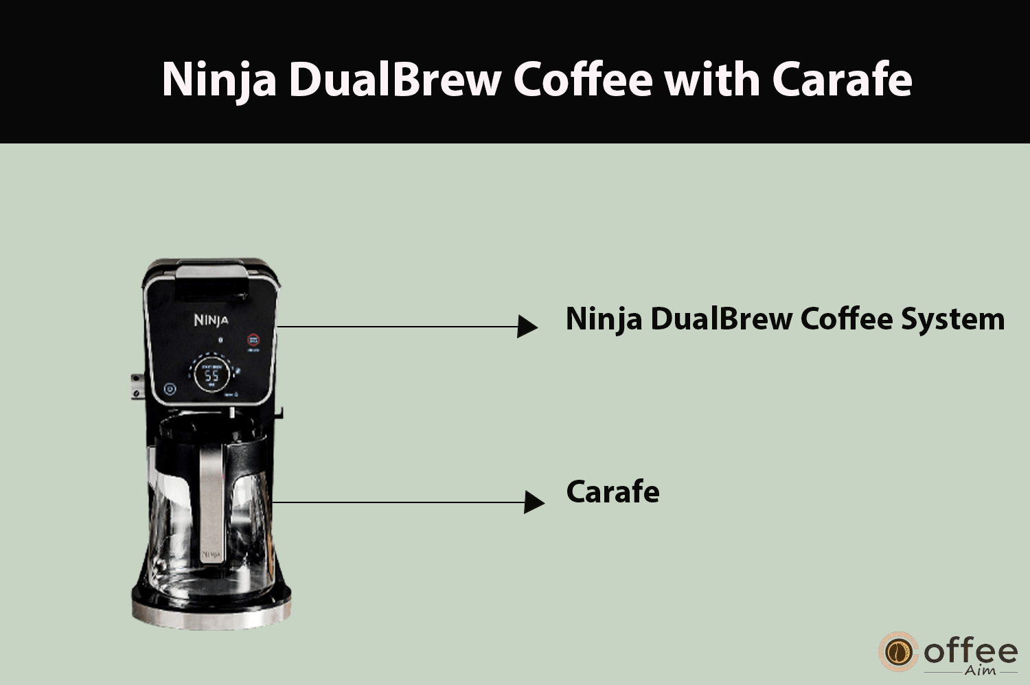 "This image highlights the carafe designed for the Ninja DualBrew Pro Specialty Coffee System, as detailed in the article 'How to Use Ninja DualBrew Pro Specialty Coffee System, Compatible with K-Cup Pods, and 12-Cup Drip Coffee Maker.'"